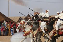 Image du Maroc Professionnelle de  Course typiquement marocaine dite ''la Fantasia'' organisé dans un site désertique sur lequel la ville de Tan Tan a toujours accueilli la majorité des tribus et des grandes familles nomades du désert lors d'un grand Moussem, Samedi 7 Septembre 2013. Le festival parrainé par l'UNESCO rassemble des milliers de nomades du Maroc. (Photo / Abdeljalil Bounhar) 